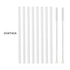 Borosilicate Glass Straw Set – Reusable Straws with Cleaning Brush