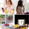 Cute Bear Double-Layer Glass Coffee Mug – Animal Design Cup